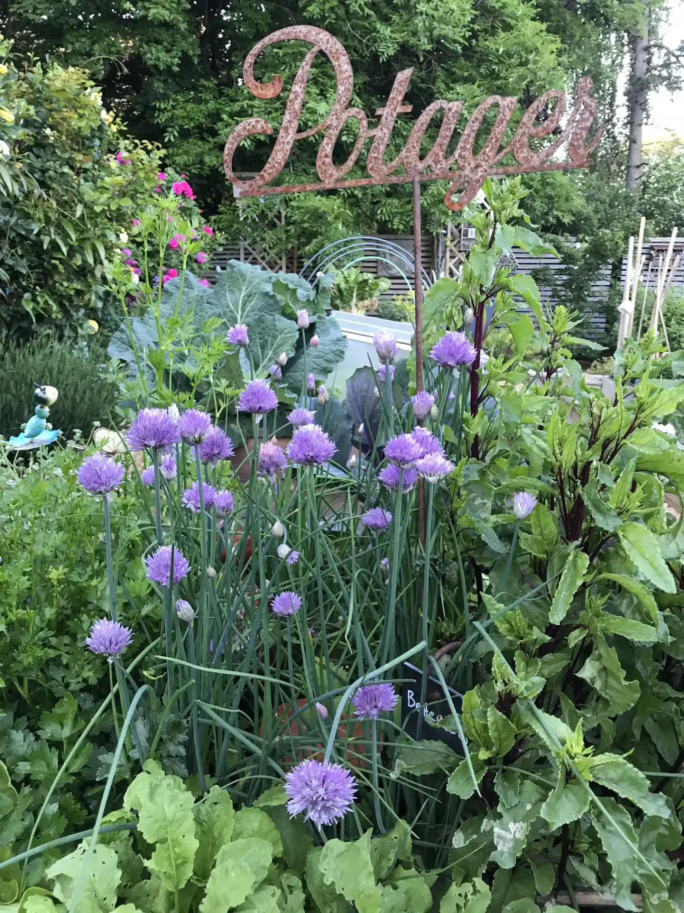 Pancarte du potager pour la ciboulette et les blettes Pancarte du potager pour la ciboulette et les blettes