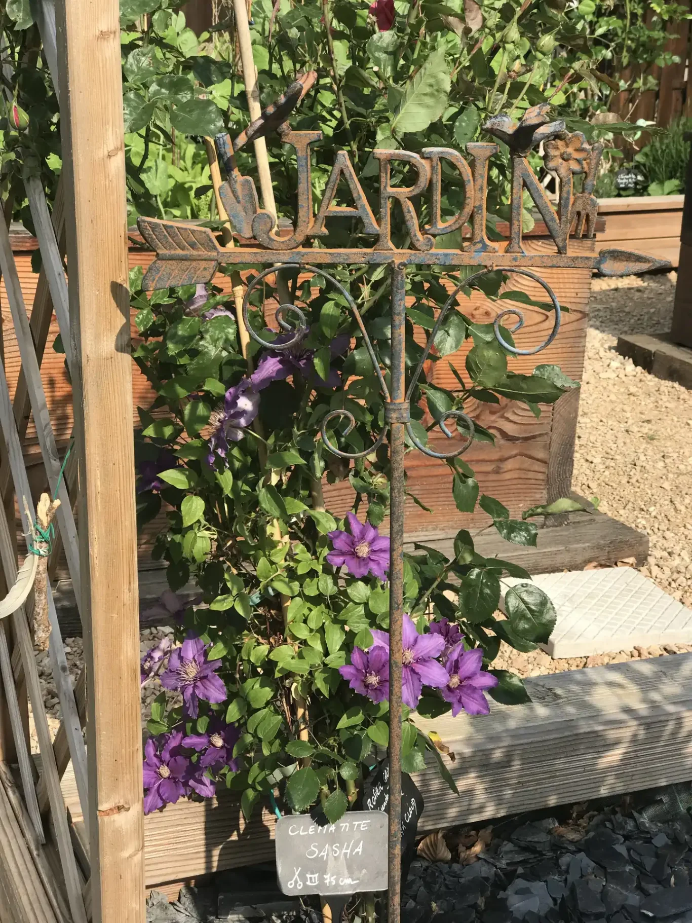 Pancarte jardin et clématite Pancarte jardin et clématite