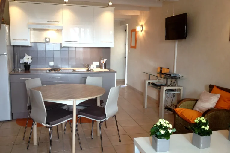 Gite Douceur vitaminée, pièce principale, cuisine ouverte sur salon Gite Douceur vitaminée, pièce principale, cuisine ouverte sur salon
