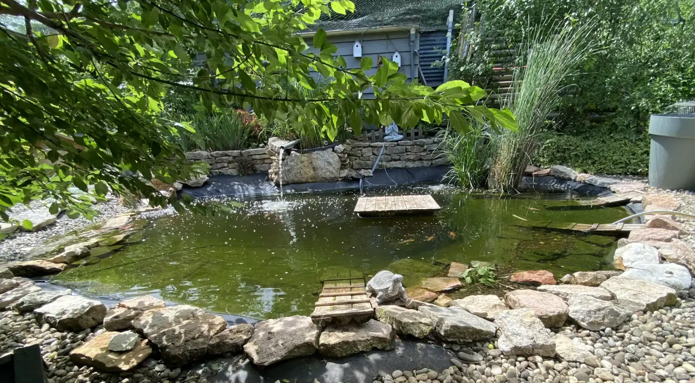Bassin du jardin avec cascade et décoration tortue Bassin du jardin avec cascade et décoration tortue