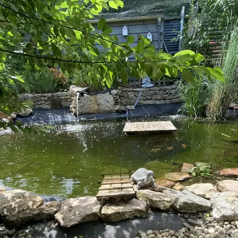 Bassin du jardin avec cascade, cabane et nichoirs Bassin du jardin avec cascade, cabane et nichoirs