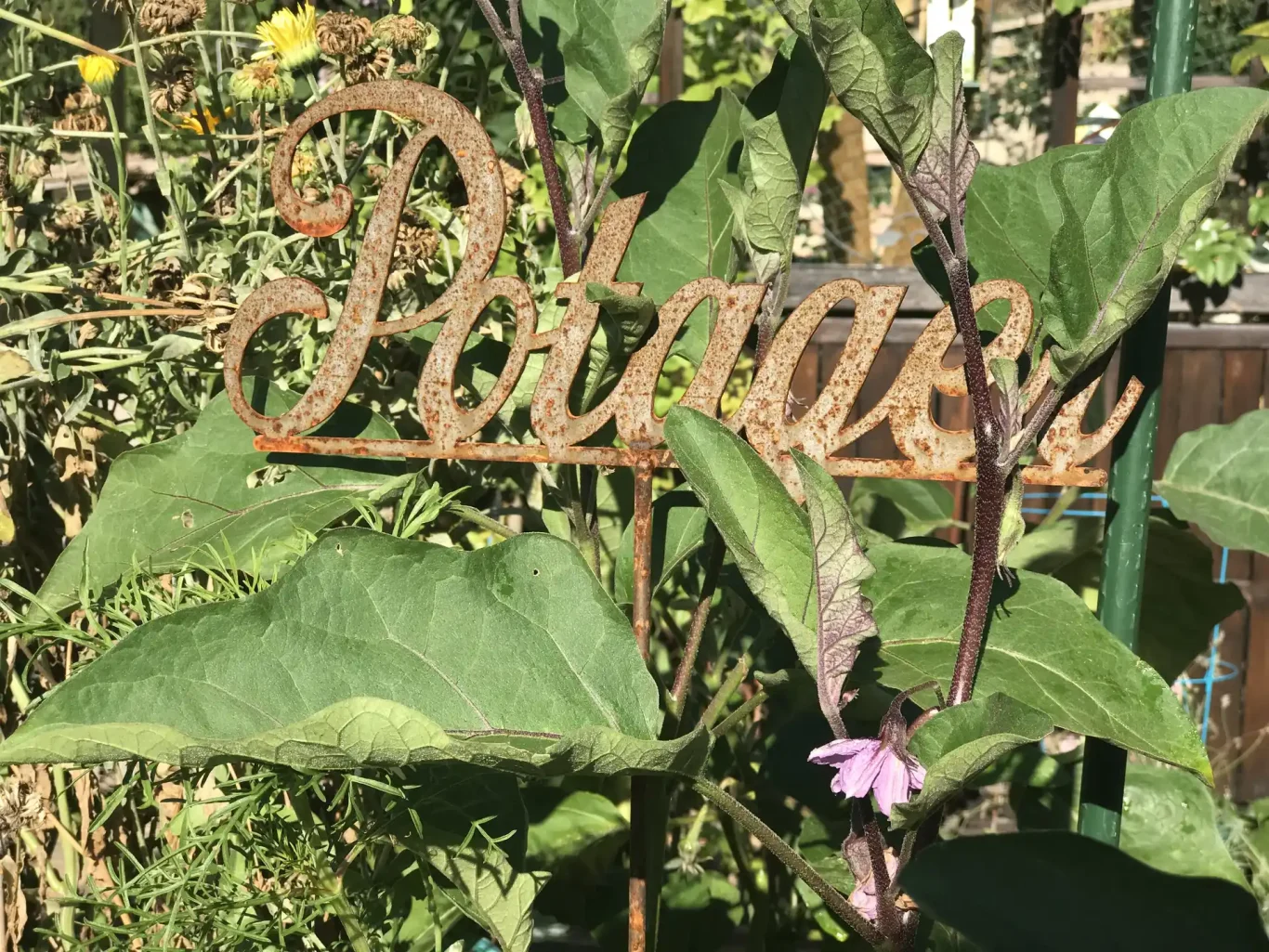 Pancarte du potager annonçant les aubergines Pancarte du potager annonçant les aubergines