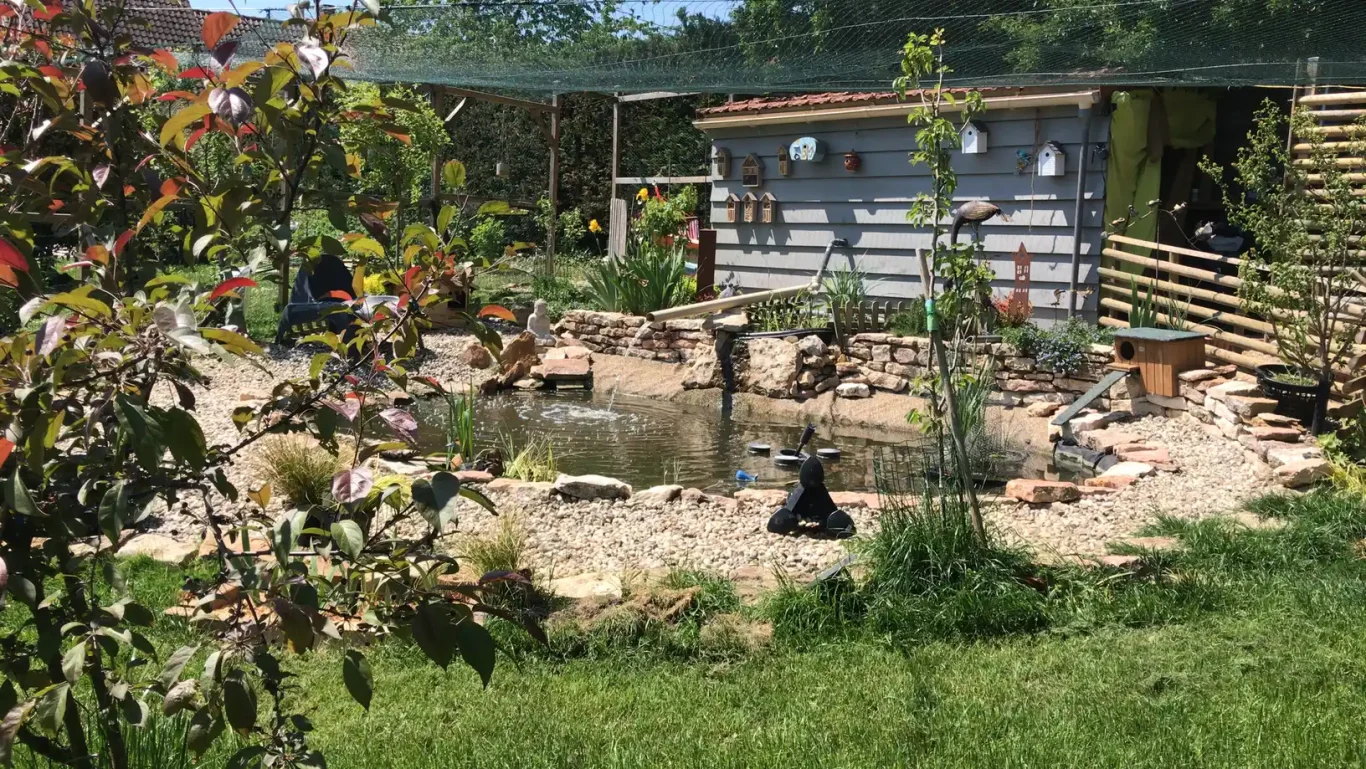 Bassin du jardin avec cabane et nichoirs Bassin du jardin avec cabane et nichoirs